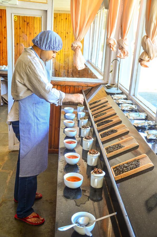 Tumsong Chiabari - The Tea Retreat Hotel Darjeeling  Ngoại thất bức ảnh